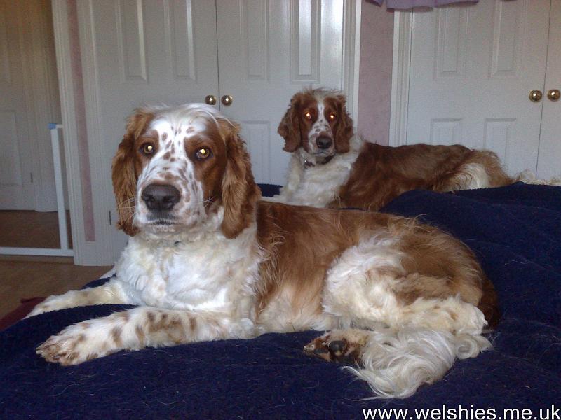 2011-04-12 02.jpg - After our trim...